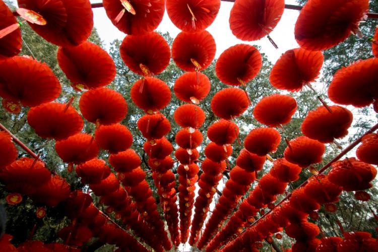Spring Forward: Making the Most out of Chinese New Year