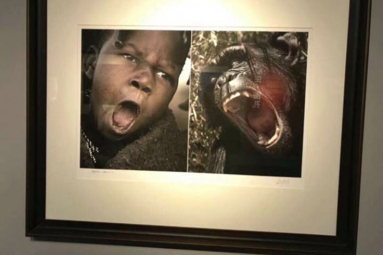 Activists in Beijing and Wuhan Successfully Spike Art Exhibit That Compared Africans to Animals  
