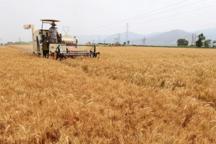 Bei-cology: China&#039;s Lack of Arable Land and Food Scandals Lead to Big Business for Importer