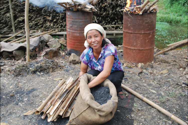 Beicology: “Bamboo is not just panda food… it can be a really important answer to a number of global challenges.” Says Rep at China&#039;s First Intergovernmental Organization on 20th Anniversary