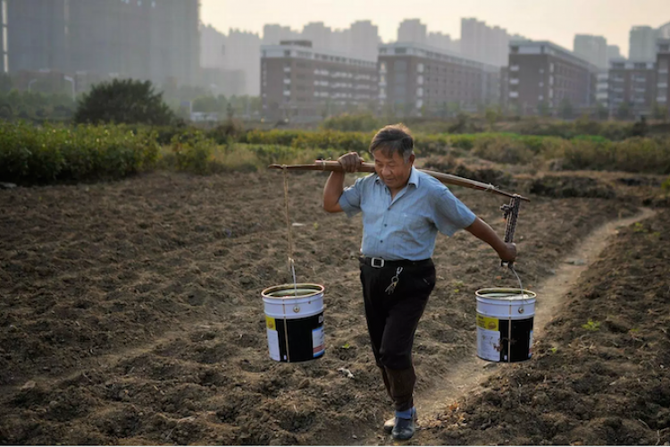 Beicology: How Beijing Broke Ground Combating Soil Pollution 