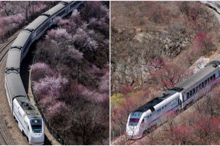 DP: Trending in Beijing: Rowdy Elderly Inhabitant, Driving Audi Causes Leukaemia, and Falling Birthrates