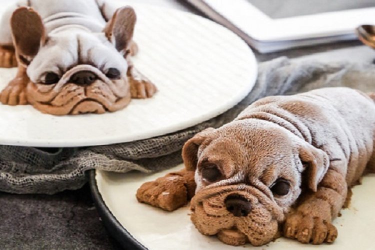 Puppies Are Delicious, and This Food Trend Proves It