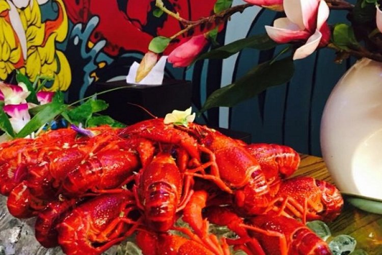 Please Give Me A Bowl of Drunk Crayfish Before Sending Me to AA