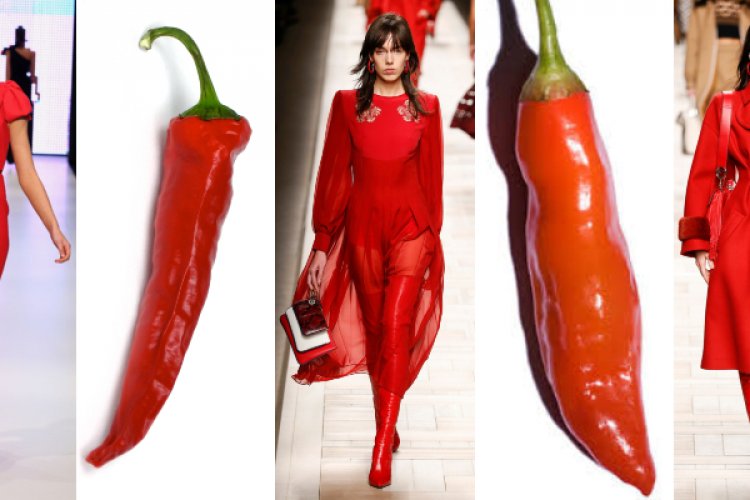 Can Eating Chili Peppers Really Help You Lose Weight?