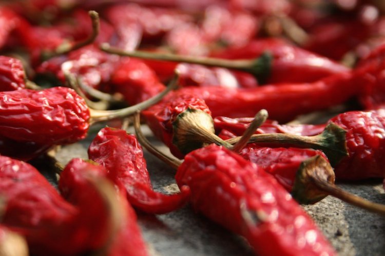 QUIZ: Test Your Knowledge of Chili Peppers Ahead of the Hot &amp; Spicy Festival (April 20-21)