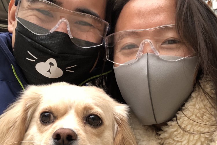 Beijing Bunker: Another Postponed Wedding and the Calming Company of a Rescue Dog
