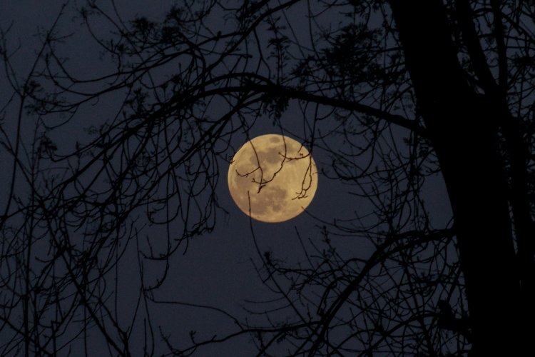 Mid-Autumn Festival: Top Places to Gaze at the Moon like a Local