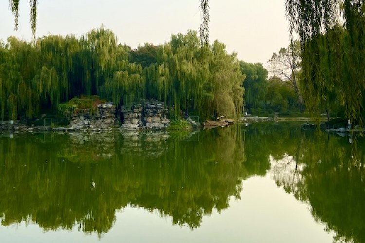 Park Life: Everything You Need to Know About Liuyin Park