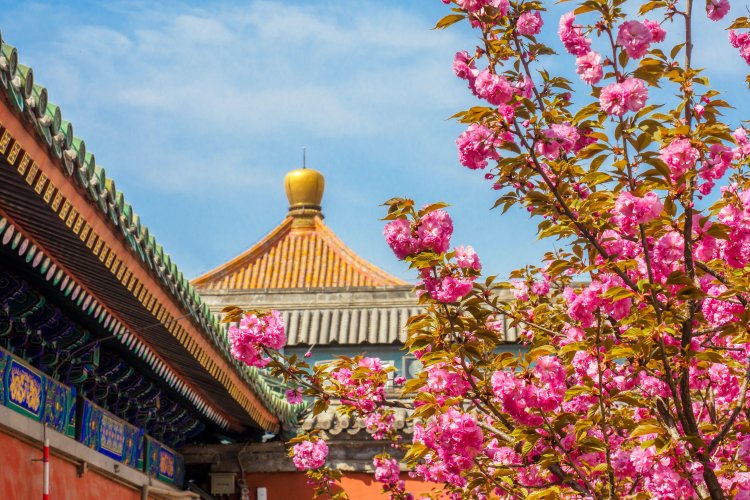 Mandarin Monday: Spring Poetry to Celebrate World Poetry Day