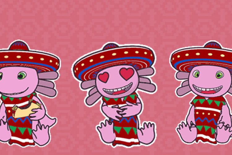 Meet Rong Momo the Axolotl, Our Official Taco Fest Mascot
