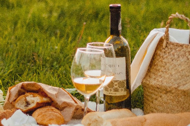 Picnic Essentials for a Perfect Summer Afternoon