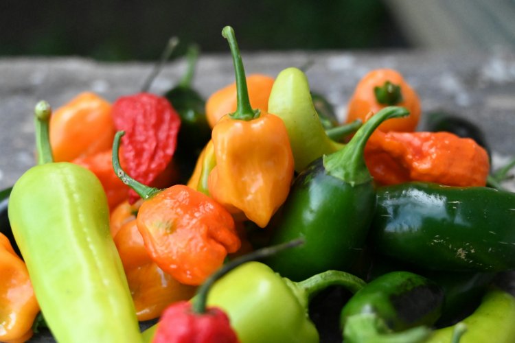 Mandarin Monday: All About Chili Peppers