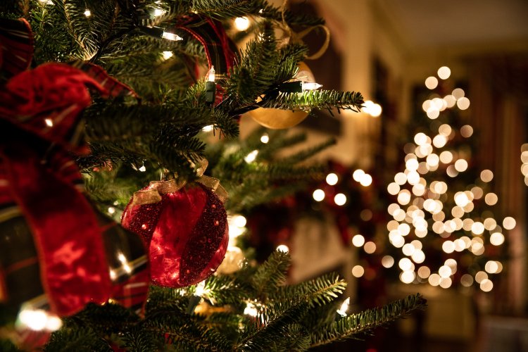 Jingle Bells Jingle Bells! Good Tidings of Chrismas Meals and Deals