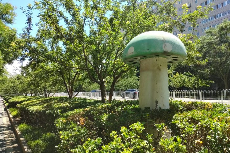 The Mystery of Beijing&#039;s Giant Mushroom Vents