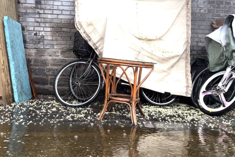 24 Hours in Beijing With Poet Anthony Tao