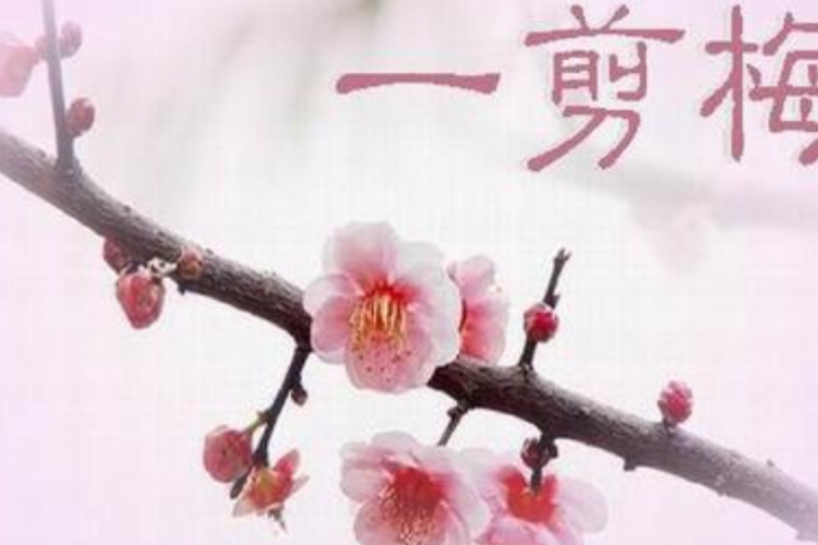 Mandarin Monday: What Do You Need to Know About &quot;One Plum Blossom&quot; Besides &quot;Xue Hua PIao Piao&quot;