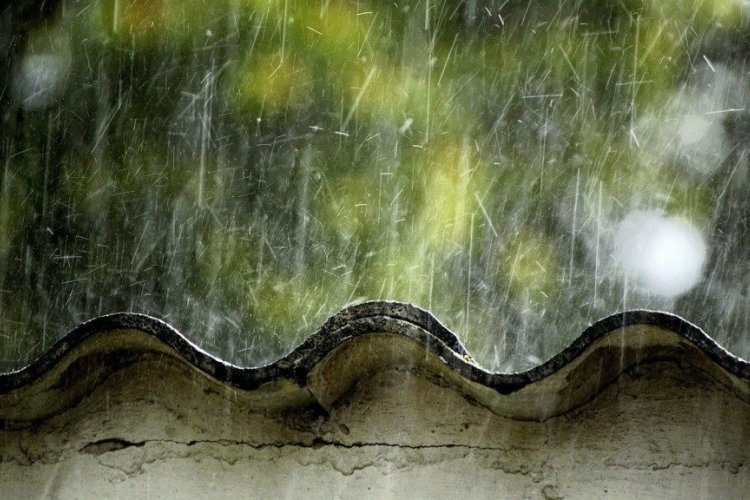 Solar Terms 101: Spring Rain Nourishes the Ground and Wakes Up Every Living Soul 