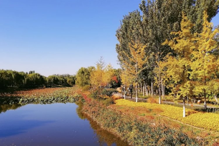 Take These 6 Routes along the Grand Canal This Fall!