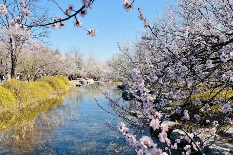 3 Places to Hike in Beijing This Spring