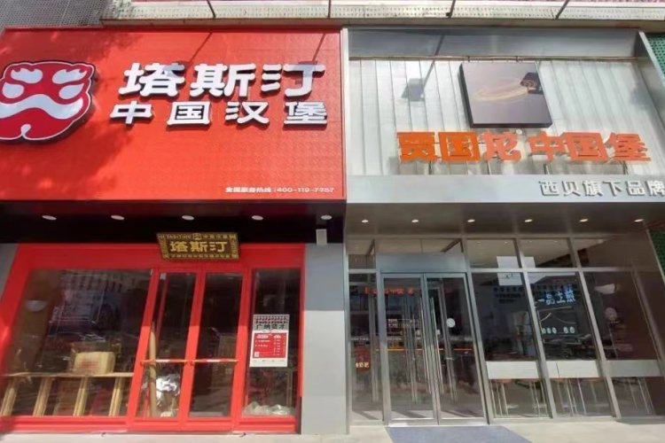 From Burgers to Stews: Jiaguolong&#039;s Switch