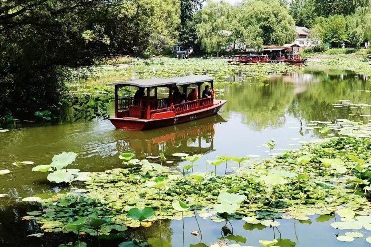 Three Places to Observe Beautiful Lotuses in Beijng This Summer