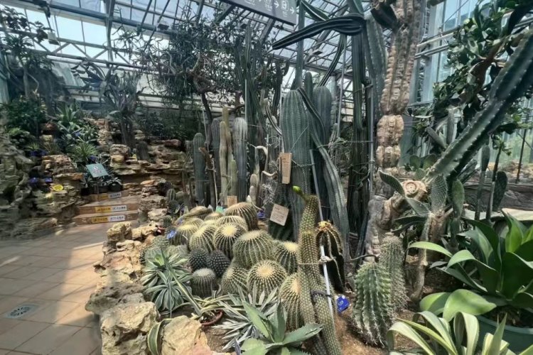 Five Exotic Plants to See At the National Botanical Garden