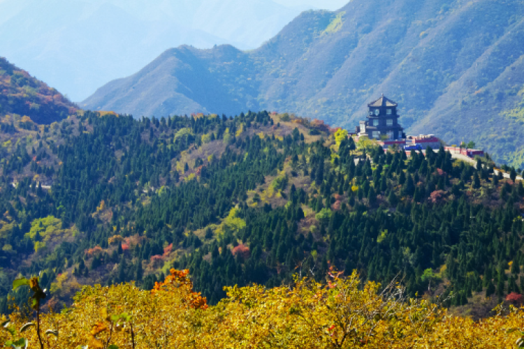 View Spectacular Autumn Leaves at These Spots in Beijing