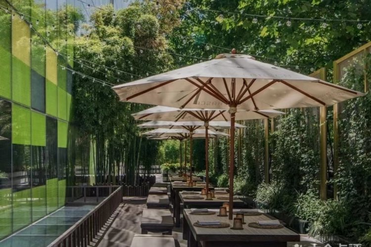 If You&#039;re Looking for a Great Alfresco Brunch Frasca Has You Covered