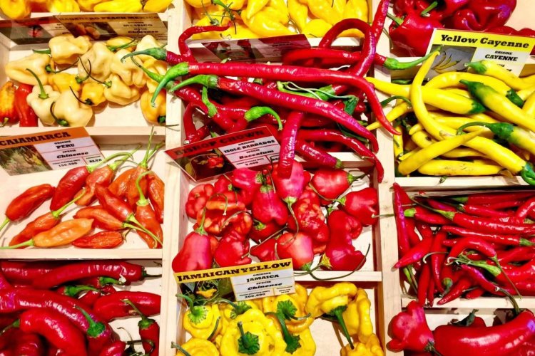 Which Country Has The Best Spicy Food – The Choice is Yours!