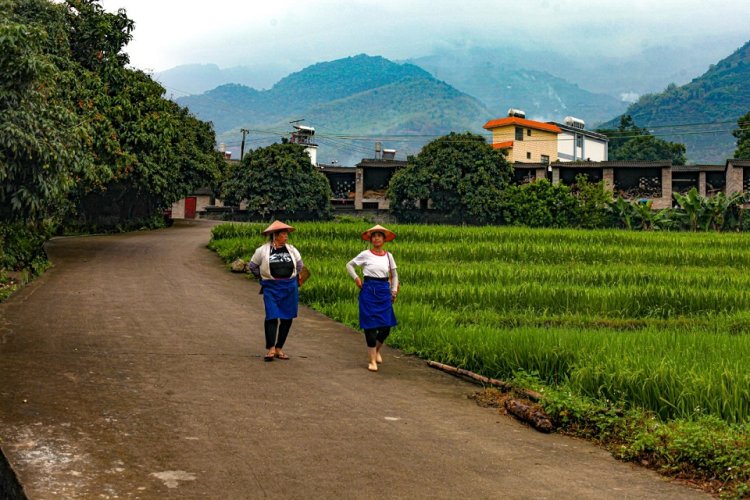 Among the Clouds: Gasa Township and the Origins of Dai Culture