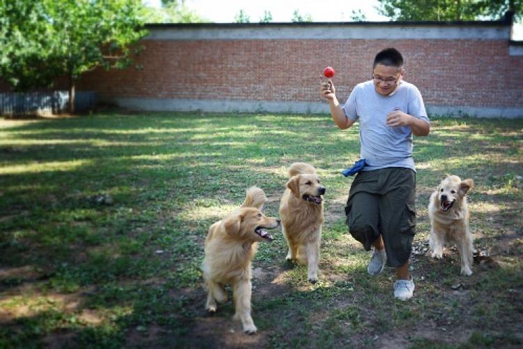 Safe and Sound: Pet Owners Can Enjoy Worry-Free Holidays with Cuddles International Pet Resort