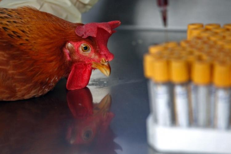 H7N9: Even More Reasons to Worry