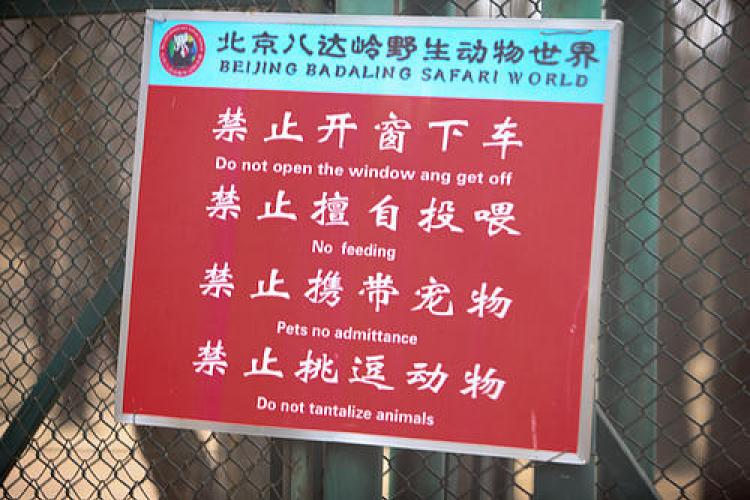 Out of sight, out of mind shortcut leads to tiger attack.