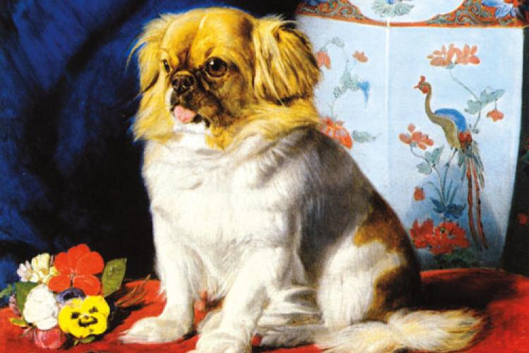 A Capital Canine: The Aristocratic Background of the Pekinese