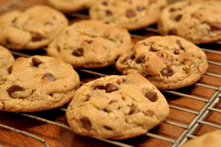 Cookie Monsters: C Is For Chocolate Chips