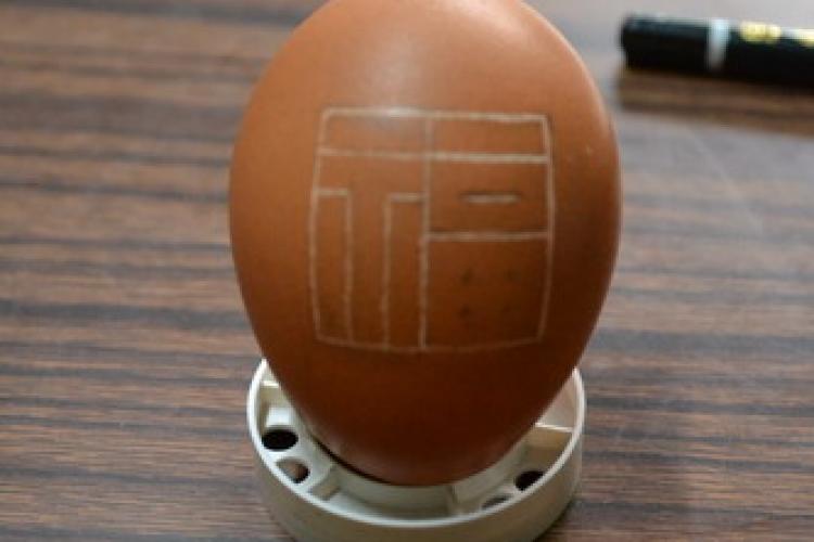 Shell Game: What Egg Carving Teaches You About Life