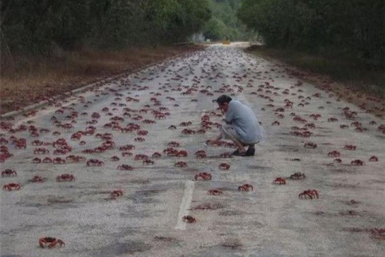 The Lighter Side of China: Only In China