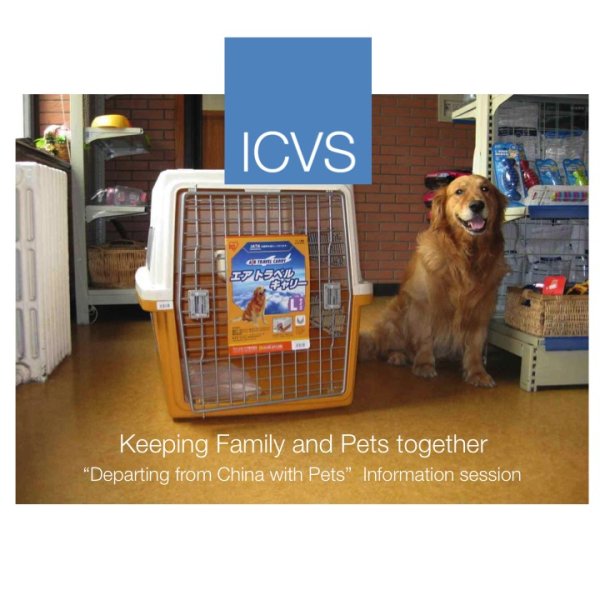 Are you preparing to take pets overseas? It is NEVER too early to begin preparations. Join ICVS' free online "Departing From China With Pets" information session to learn how to get started!