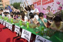 20090628Canada day62