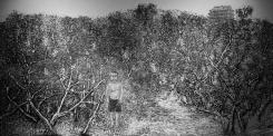 IMG_9178_resize