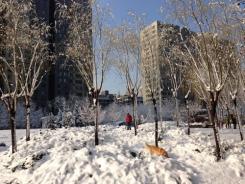 winter_1