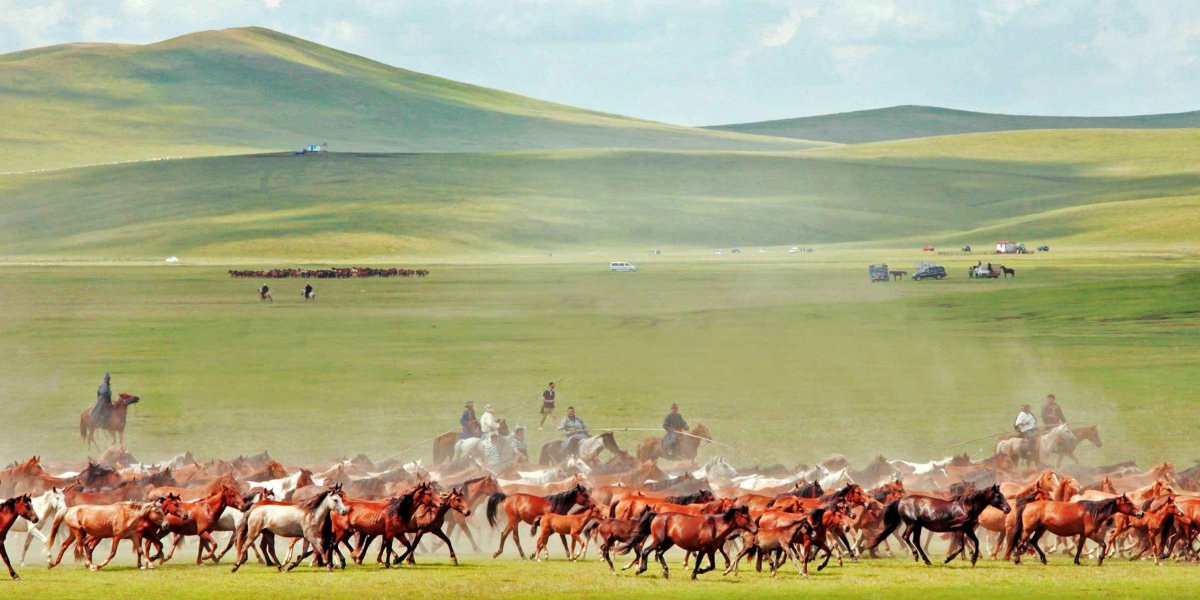 A different kind of rush-hour