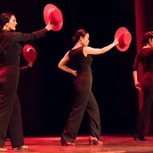 2015-02flamencoschoolshow-10.jpg
