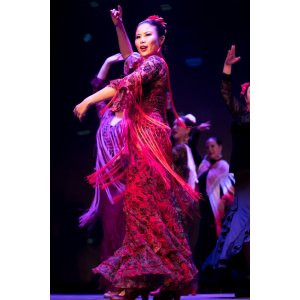 2015-02flamencoschoolshow-68.jpg