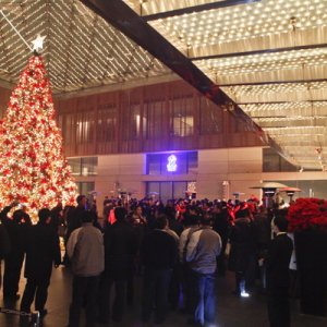 RitzCarltonFinStChristmas09