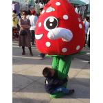 Strawberry_Festival_194_-_Copy_450x600