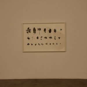 chambers_fine_art_collecting_guo_hongwei_02