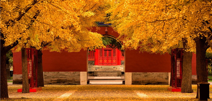 Feast Your Eyes on Fall Foliage at These Beijing Mountain Parks
