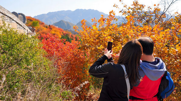 Red, Gold, and Orange: Beijing&#039;s Best Parks to Watch Fall Leaves Change (Pt. 2)